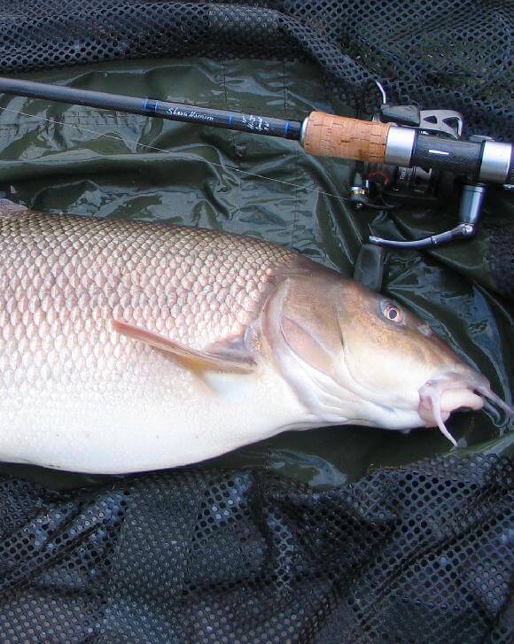 Hi-‘S’ Barbel & Specialist Rods